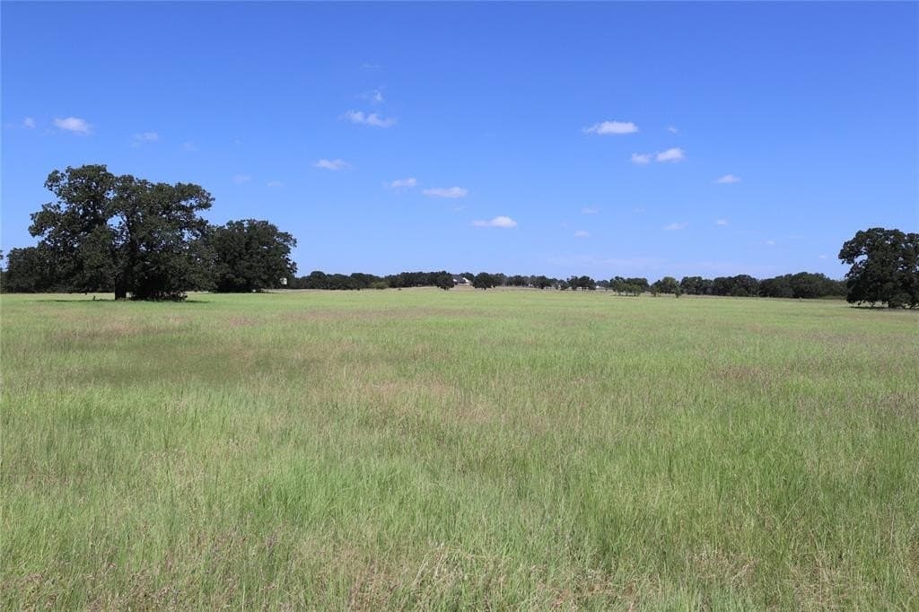 26 acres in Montague County gallery image 4