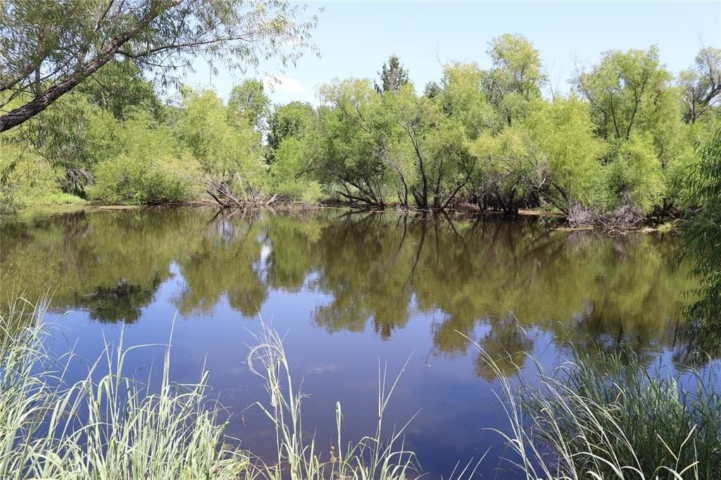26 acres in Montague County gallery image 2