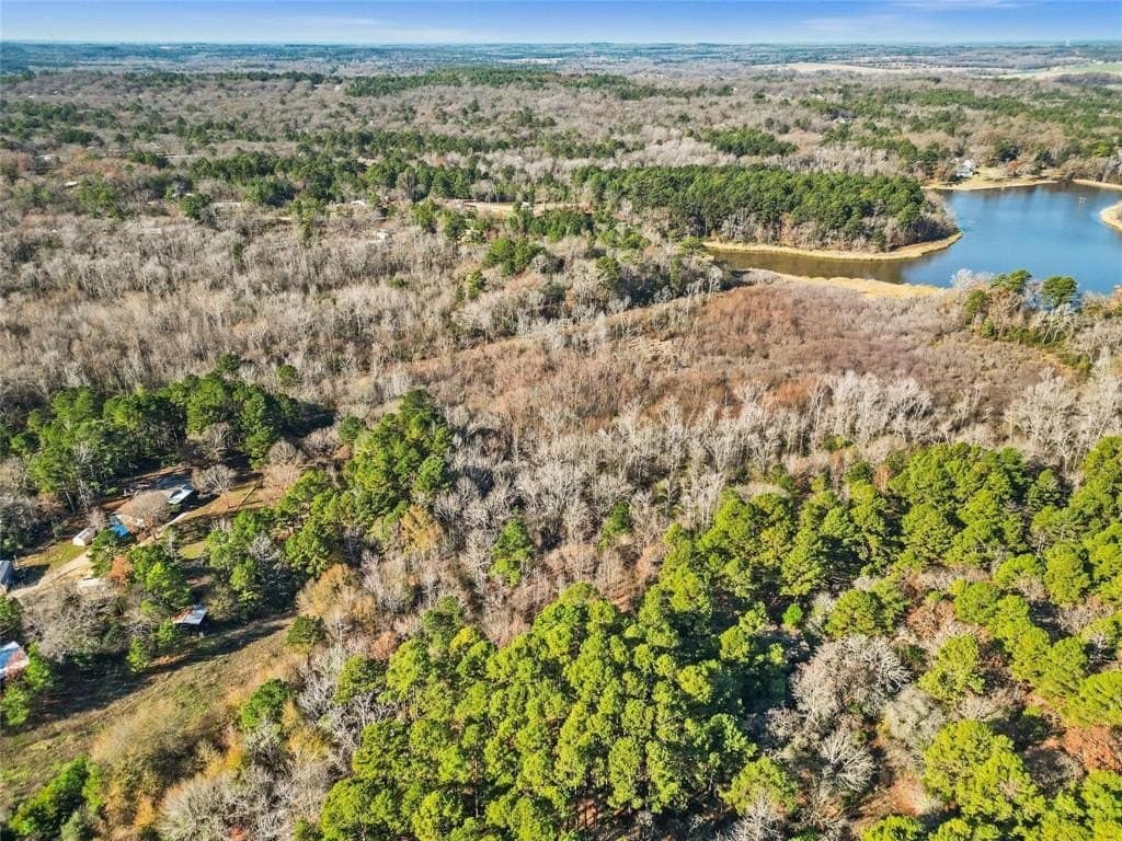 18.6 acres in Smith County gallery image 3