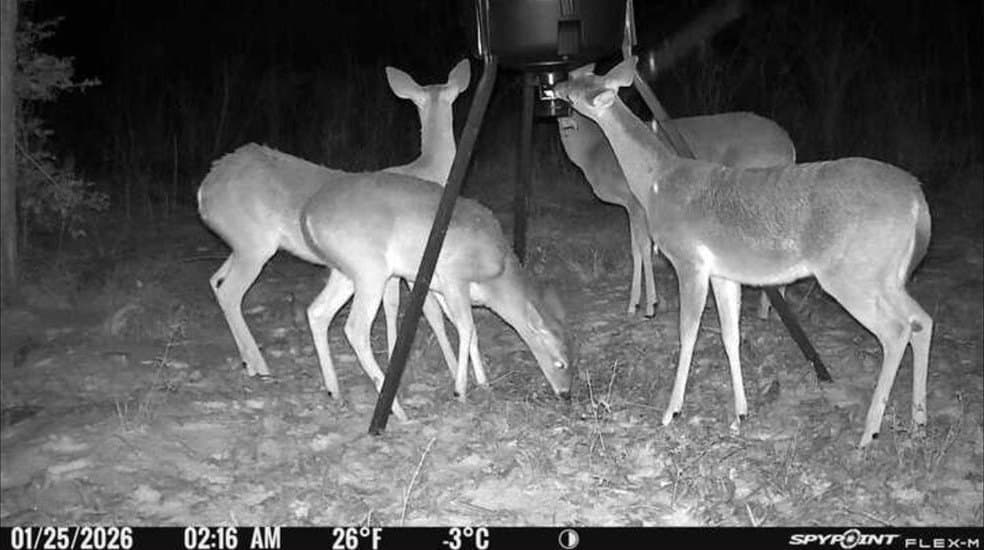 18.6 acres in Smith County gallery image 2