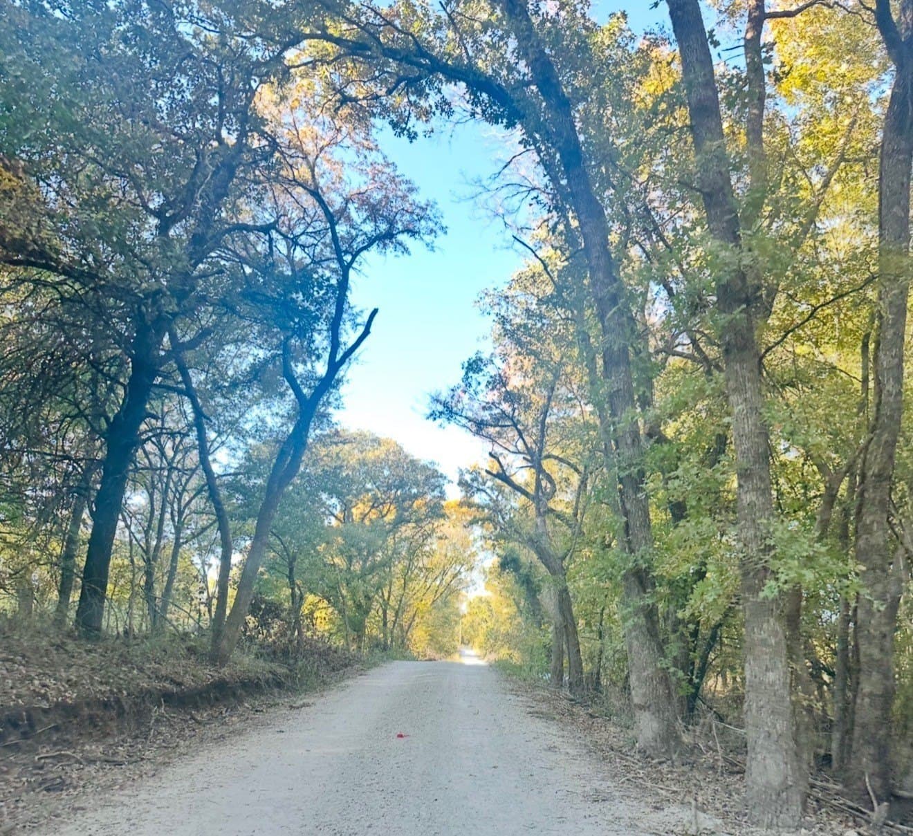 12 acres in Hill County - photo 4