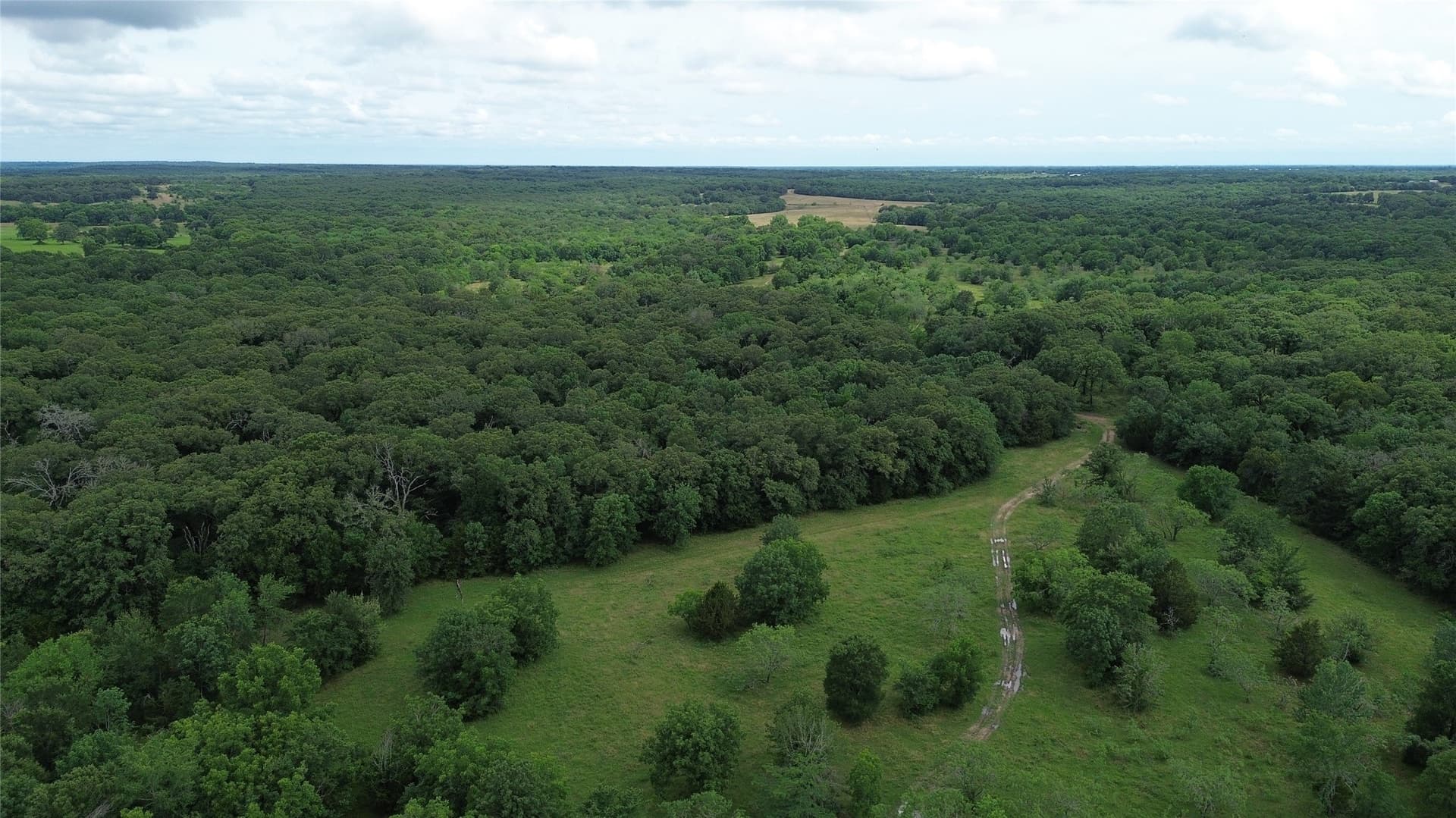 442.14 acres in Navarro County featured view