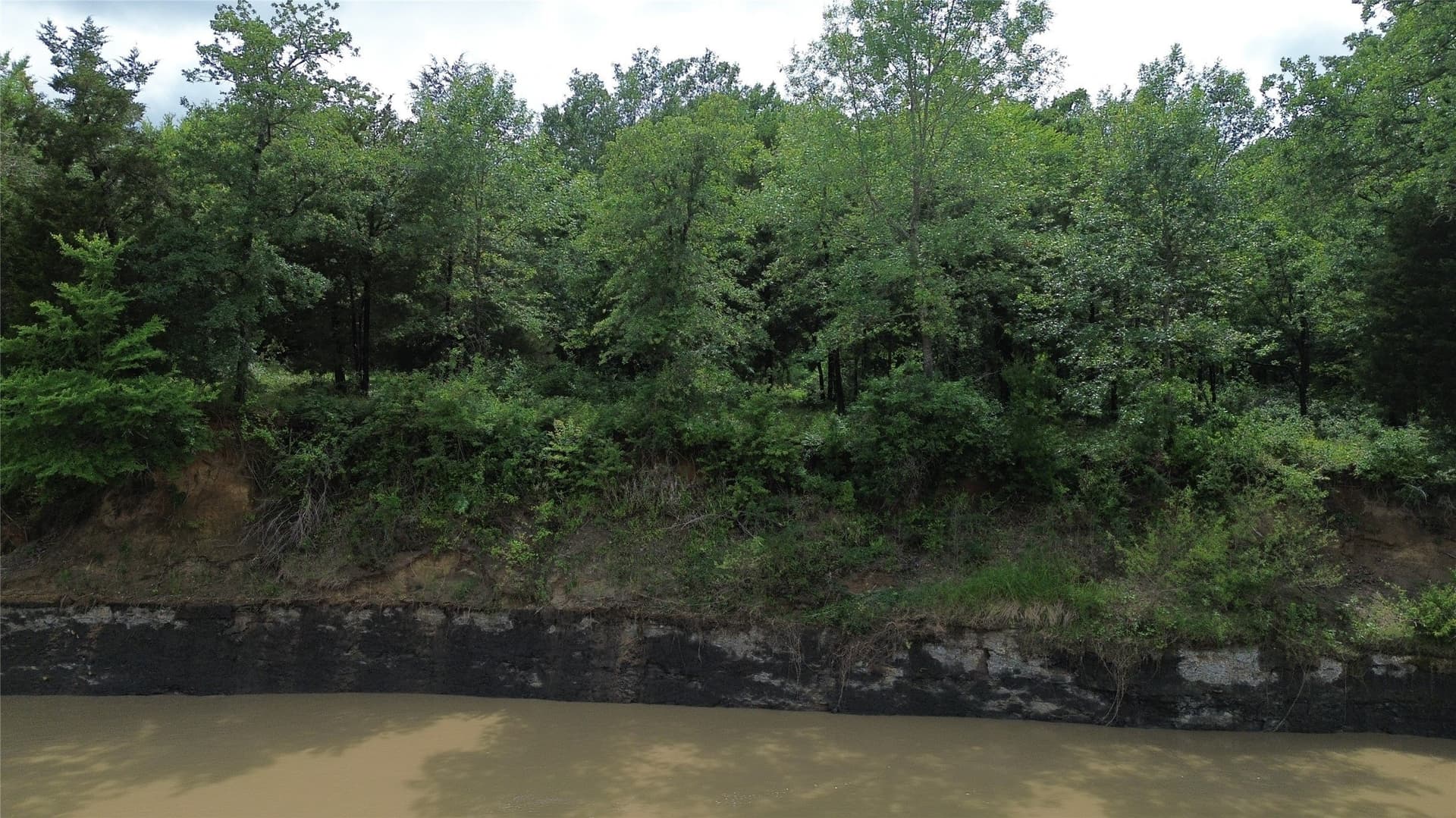 442.14 acres in Navarro County gallery image 4