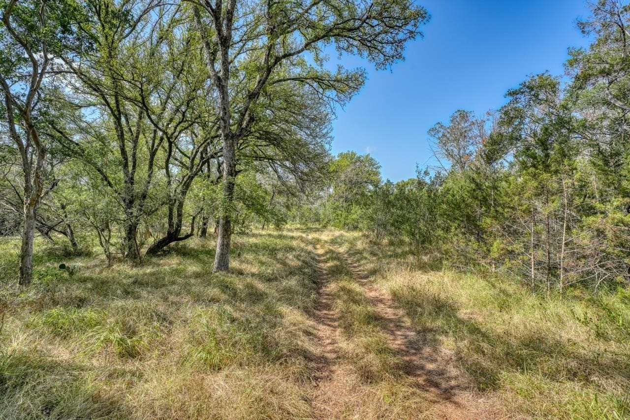 52.71 acres in Burnet County gallery image 3