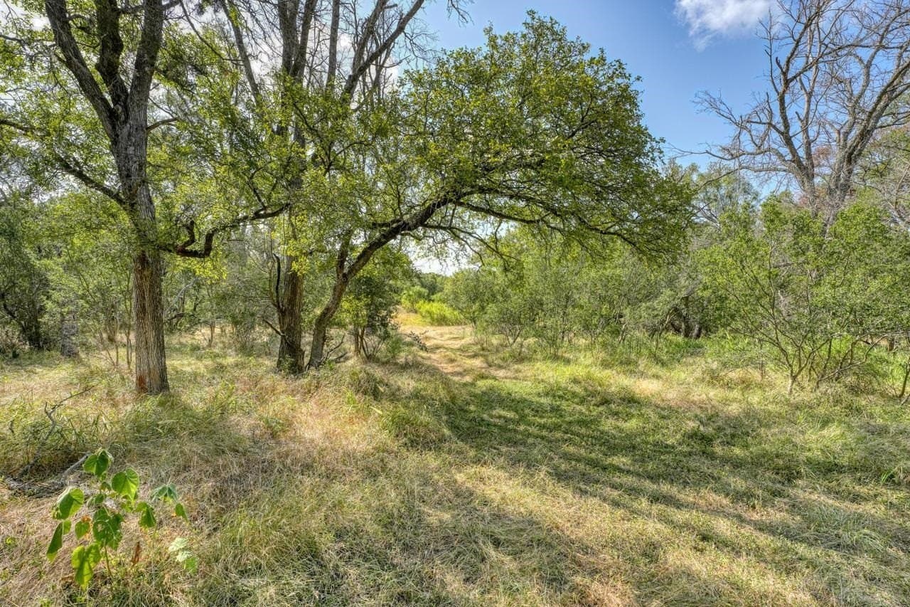 52.71 acres in Burnet County gallery image 4