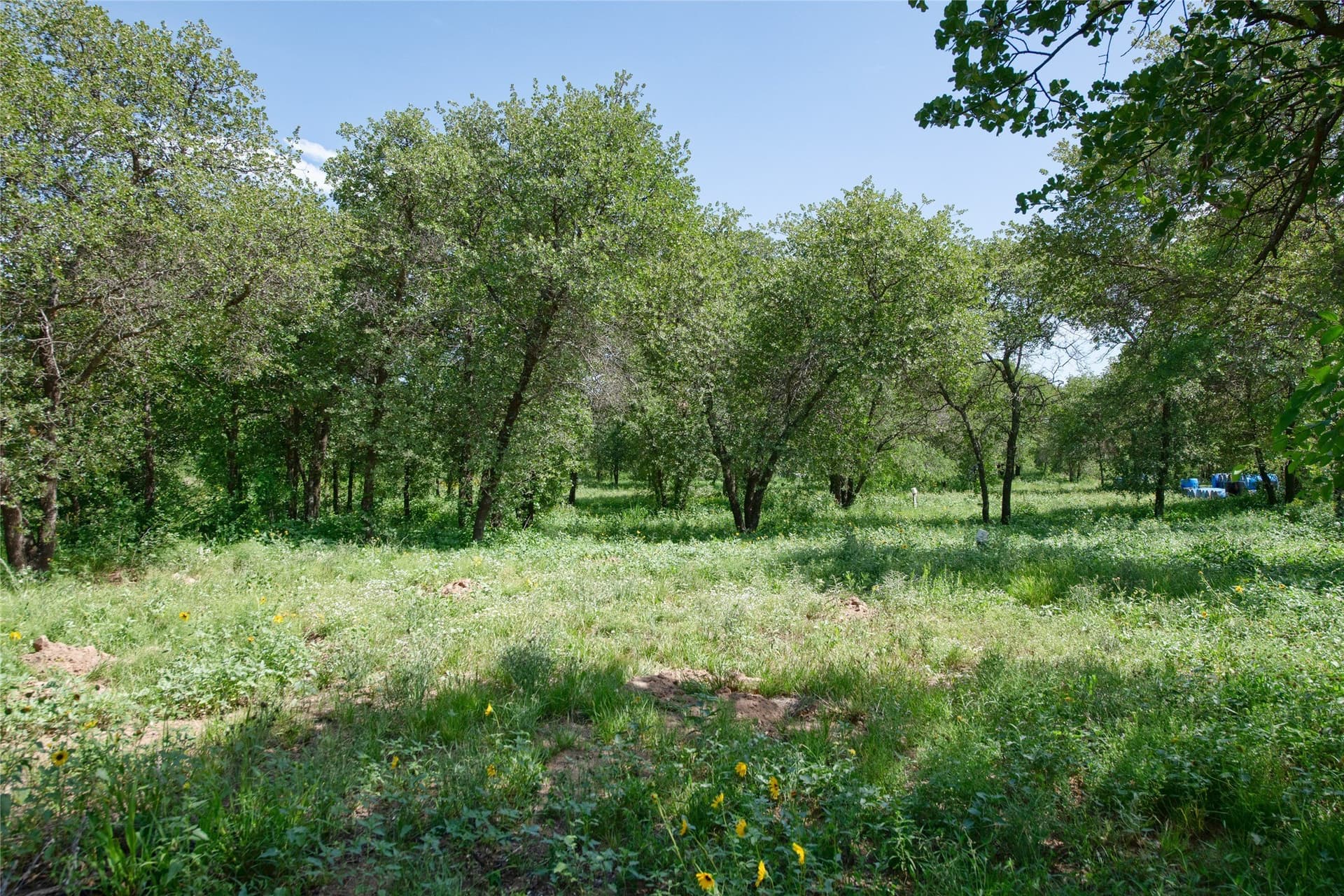 20.32 acres in Jones County - photo 24