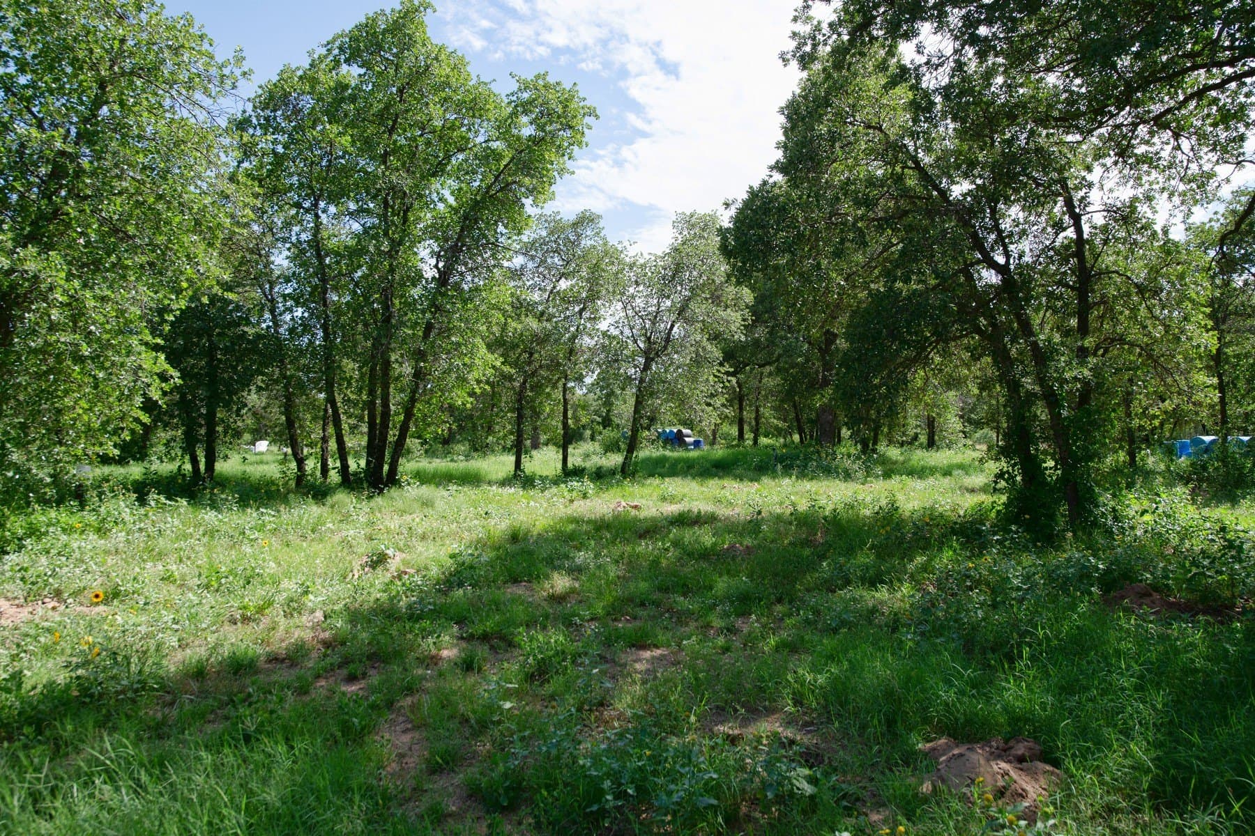 20.32 acres in Jones County - photo 29