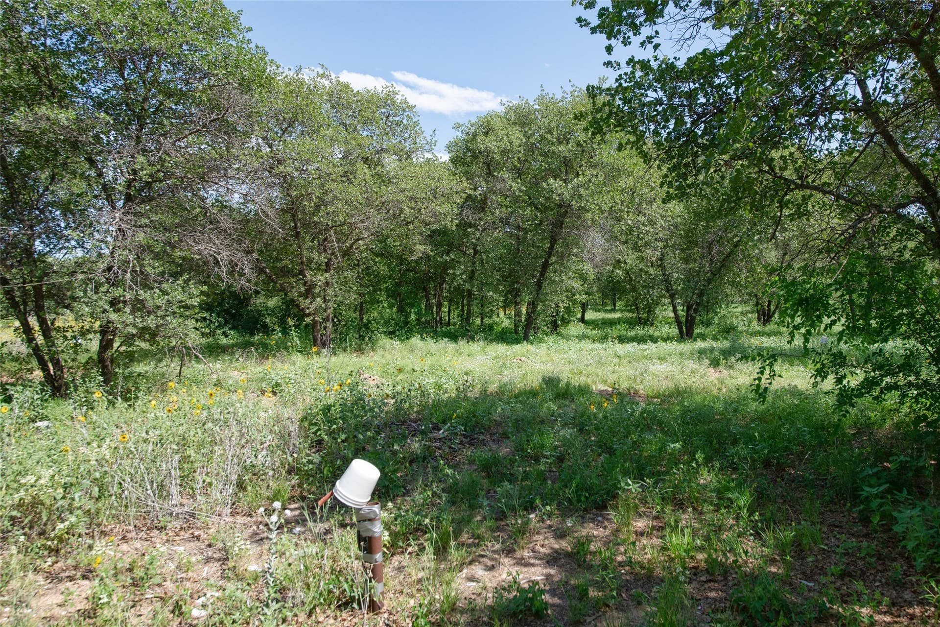 20.32 acres in Jones County - photo 23