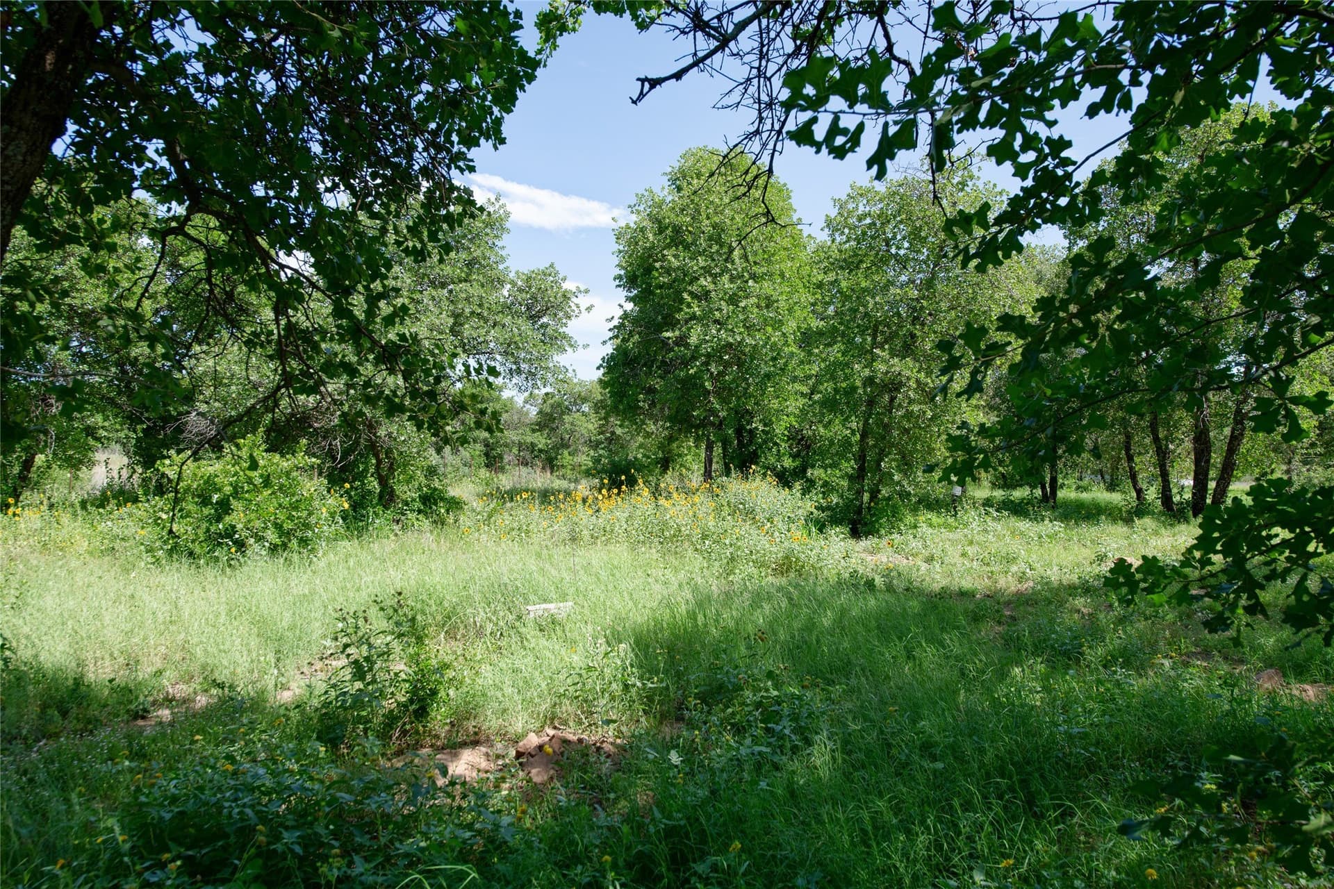 20.32 acres in Jones County - photo 28