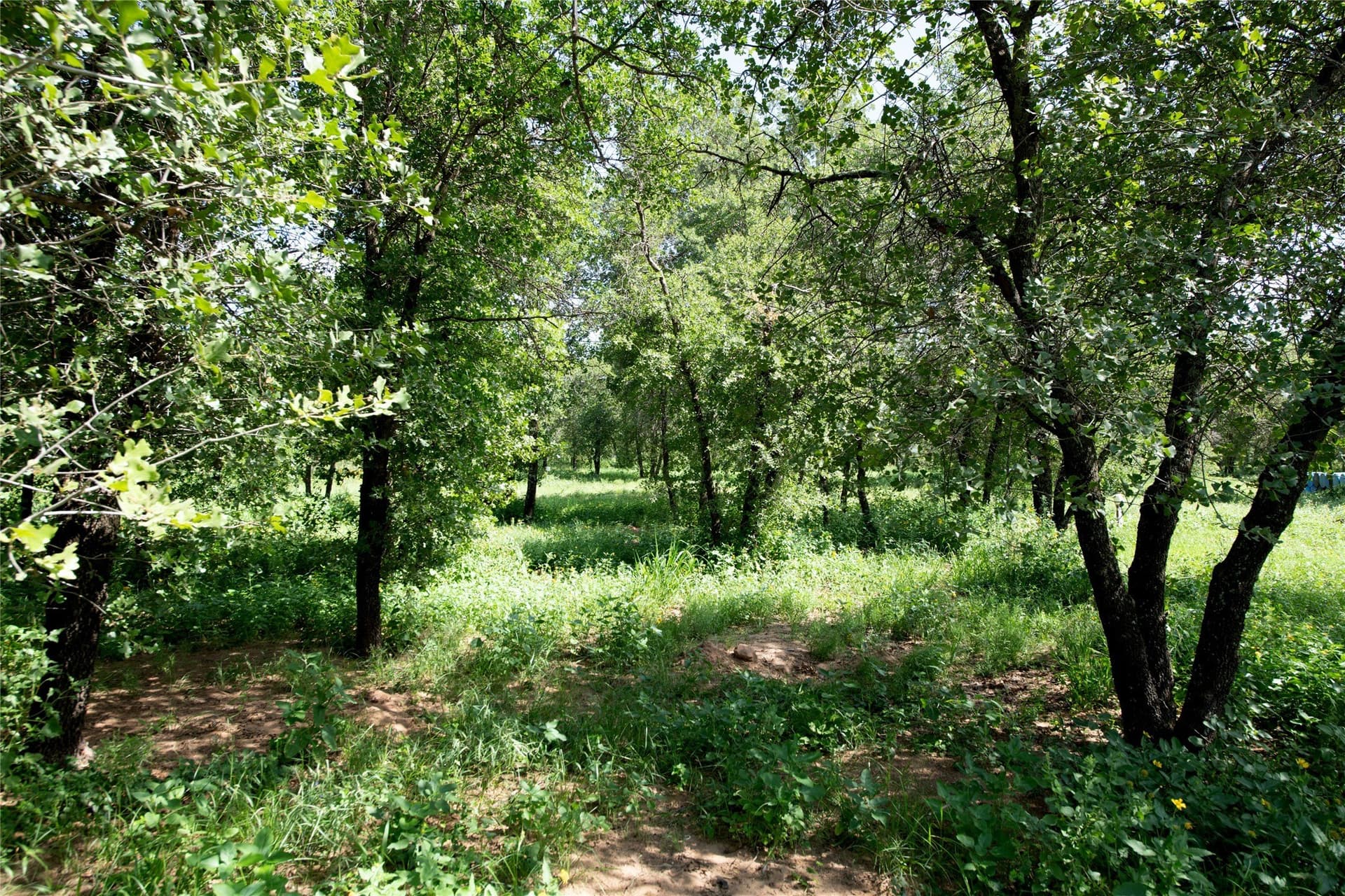 20.32 acres in Jones County - photo 25