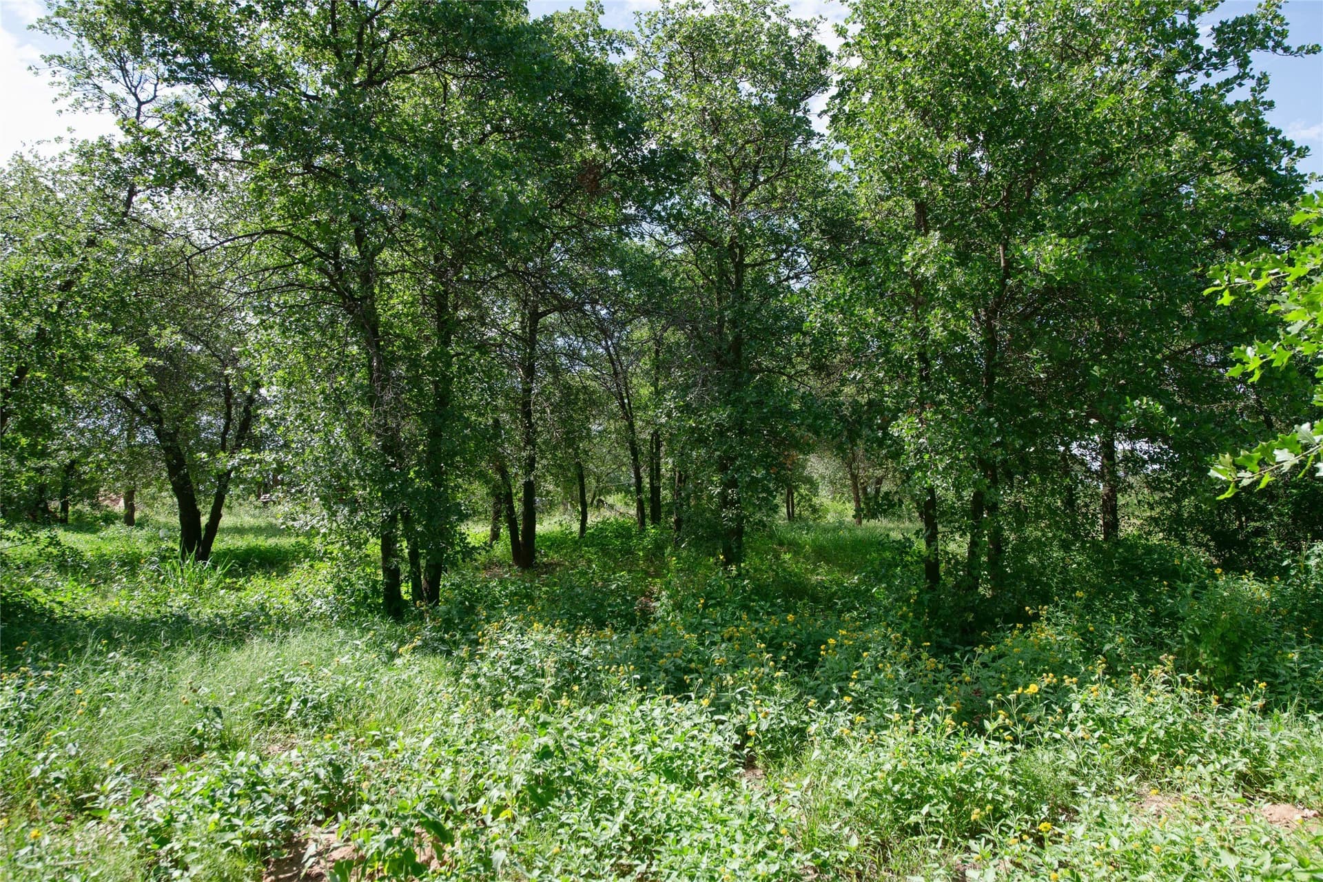 20.32 acres in Jones County