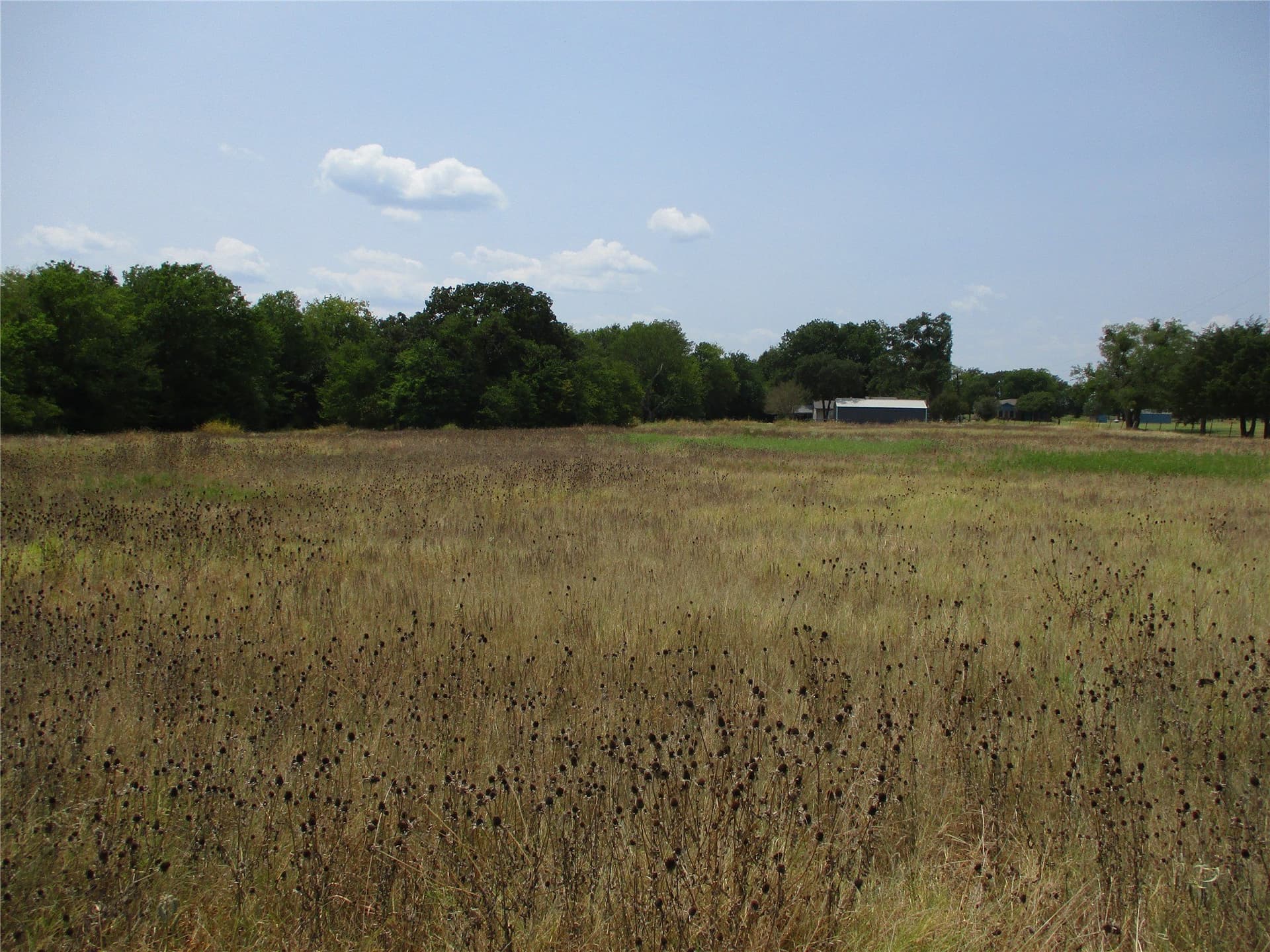 4.44 acres in Rains County