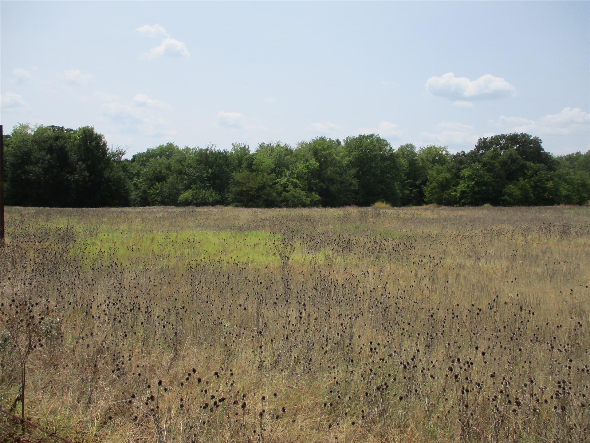 4.44 acres in Rains County gallery image 2