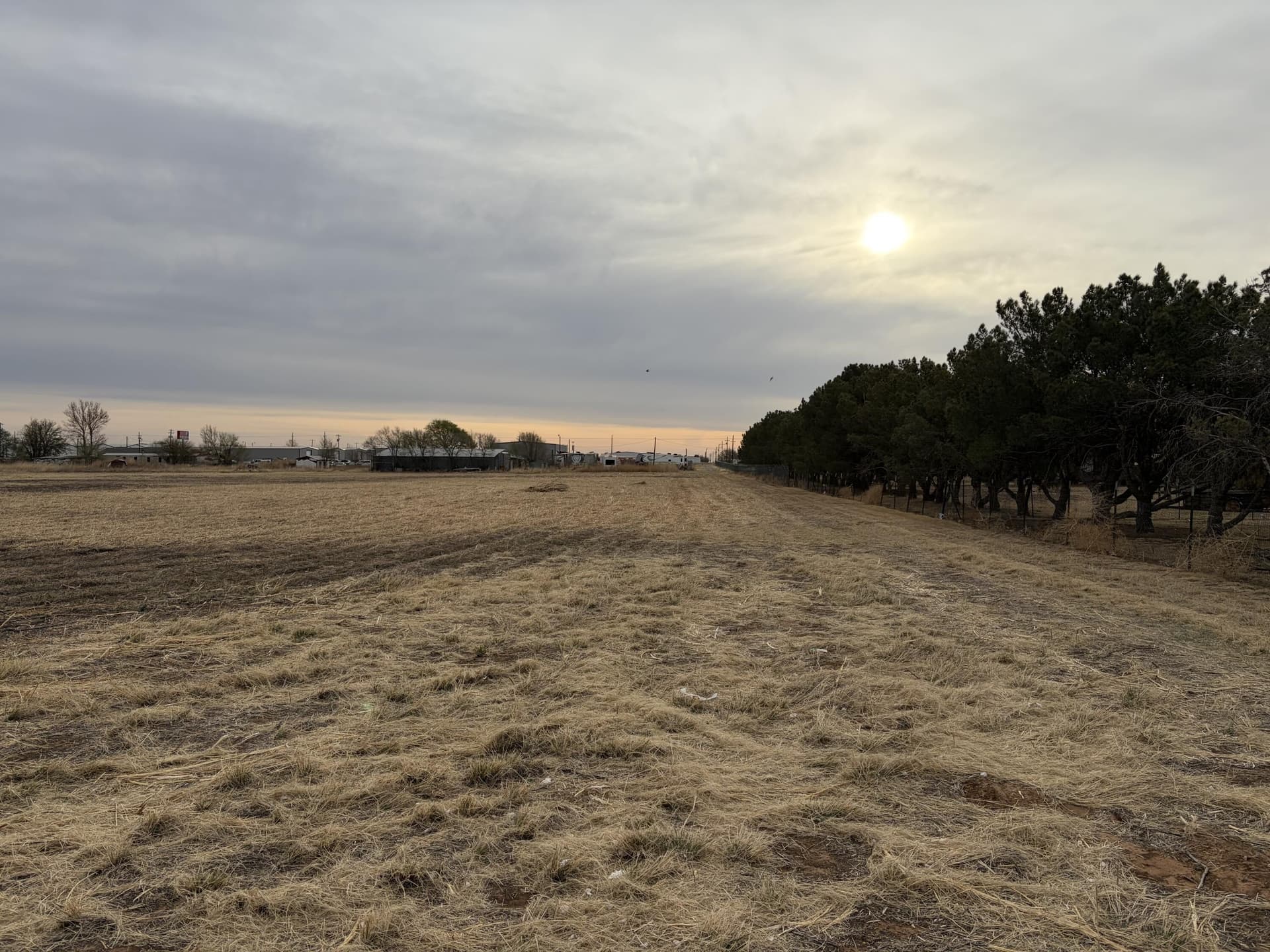 7.91 acres in Lubbock County gallery image 3