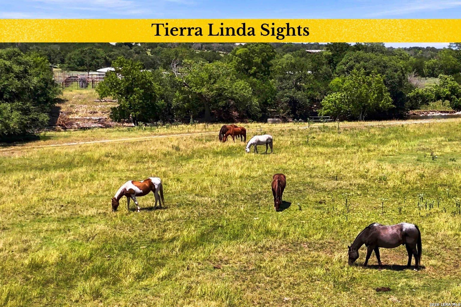 23.62 acres in Gillespie County - photo 116