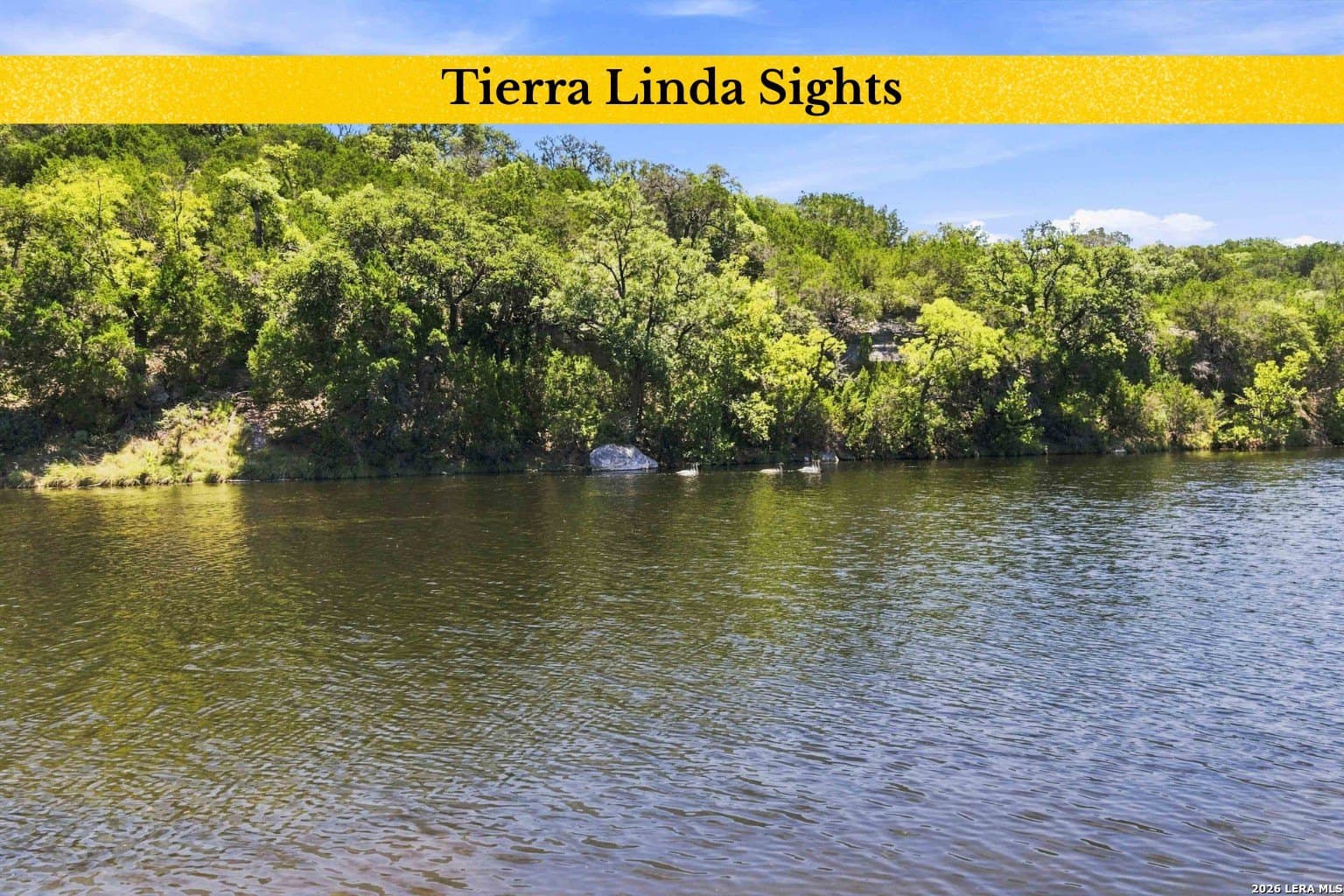 23.62 acres in Gillespie County - photo 110