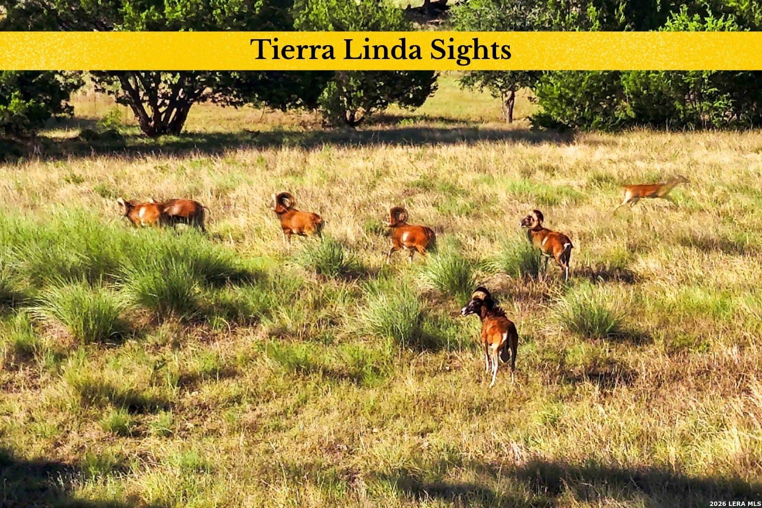 23.62 acres in Gillespie County - photo 118
