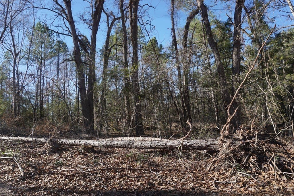 16.92 acres in LEON County featured view
