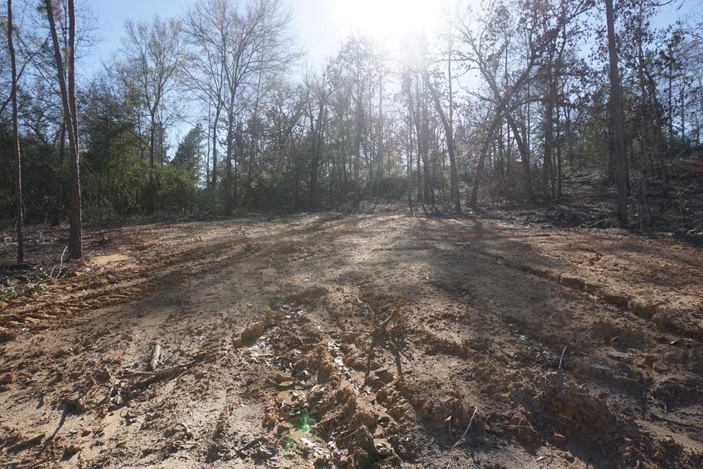 16.92 acres in LEON County