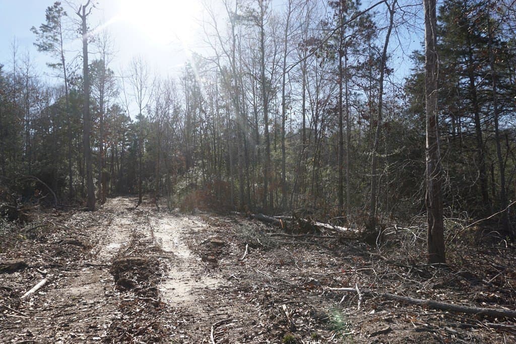 16.92 acres in LEON County - photo 6