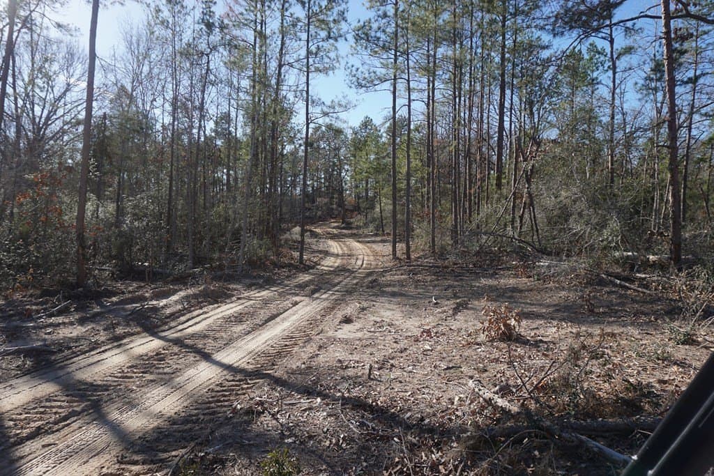 16.92 acres in LEON County gallery image 3