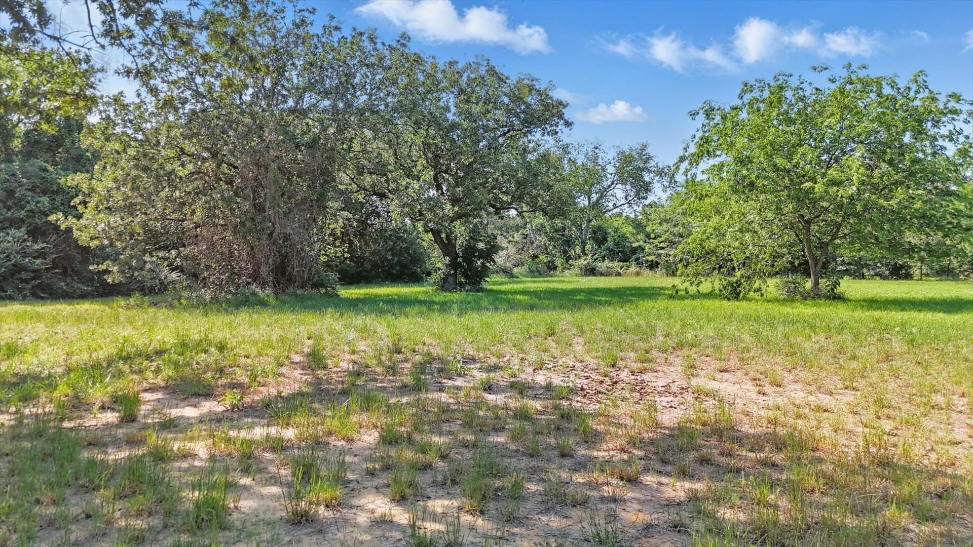 0.82 acres in Denton County gallery image 4