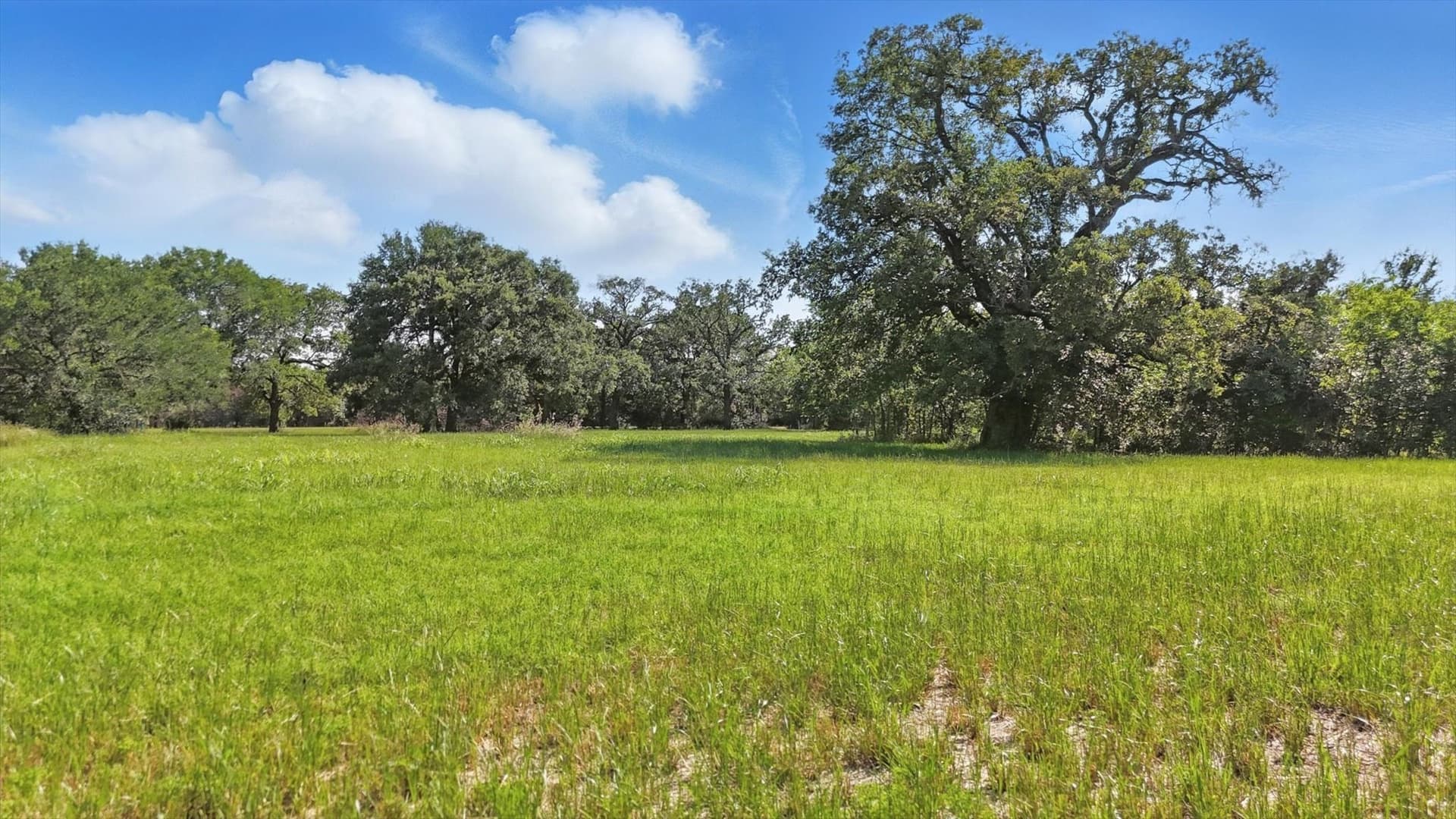 0.82 acres in Denton County gallery image 2