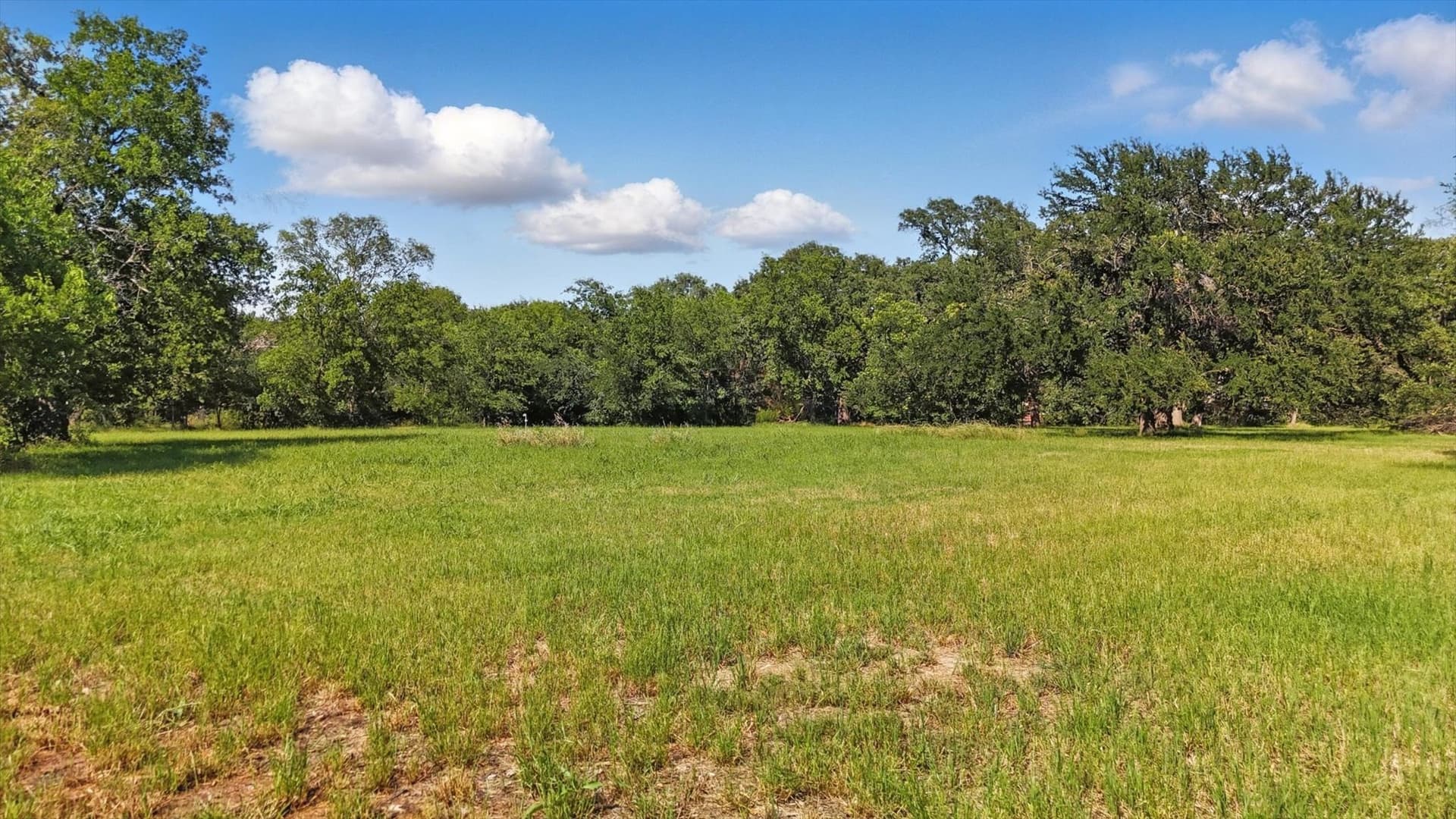 0.82 acres in Denton County gallery image 3