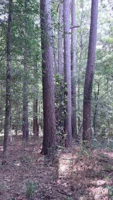 10 acres in Texas County - photo 12