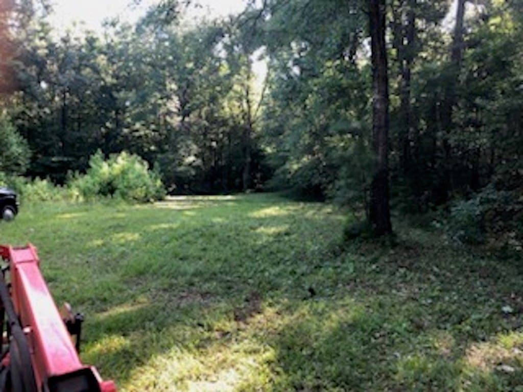 10 acres in Texas County featured view