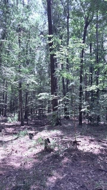 10 acres in Texas County - photo 9