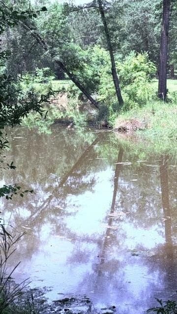 10 acres in Texas County - photo 10