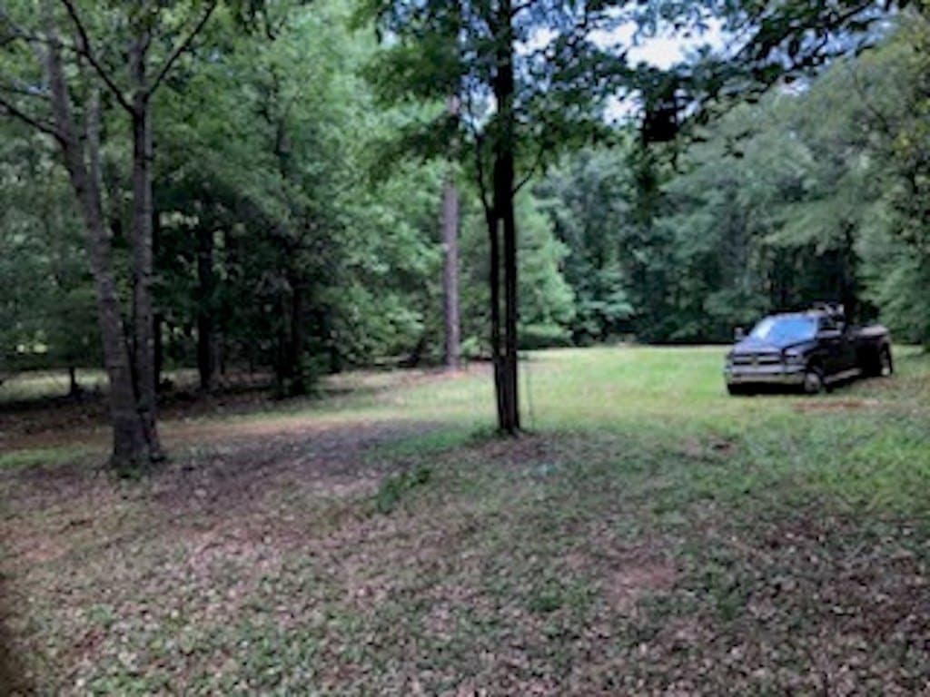 10 acres in Texas County - photo 6