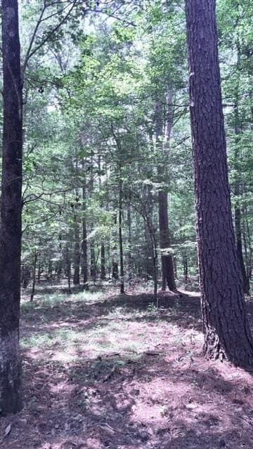 10 acres in Texas County - photo 8