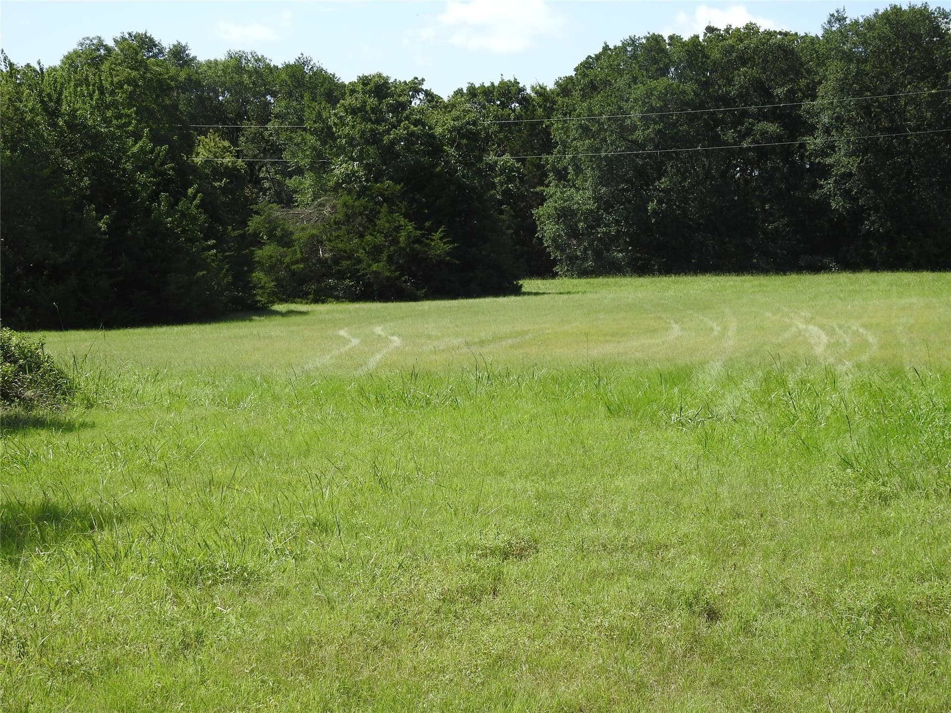 5.06 acres in Fannin County - photo 9