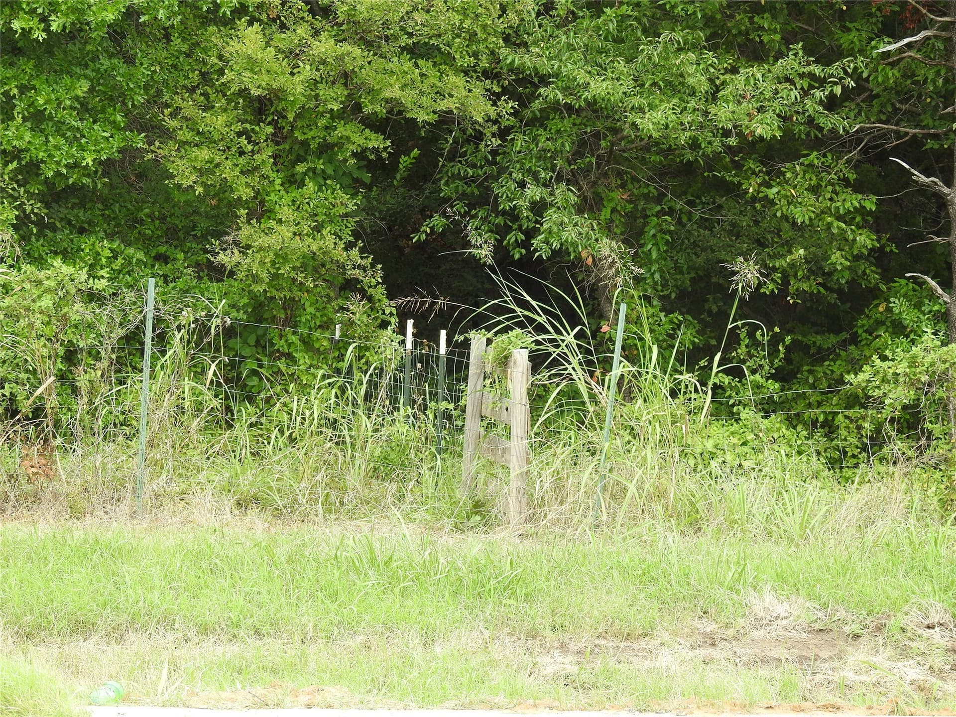 5.06 acres in Fannin County - photo 16