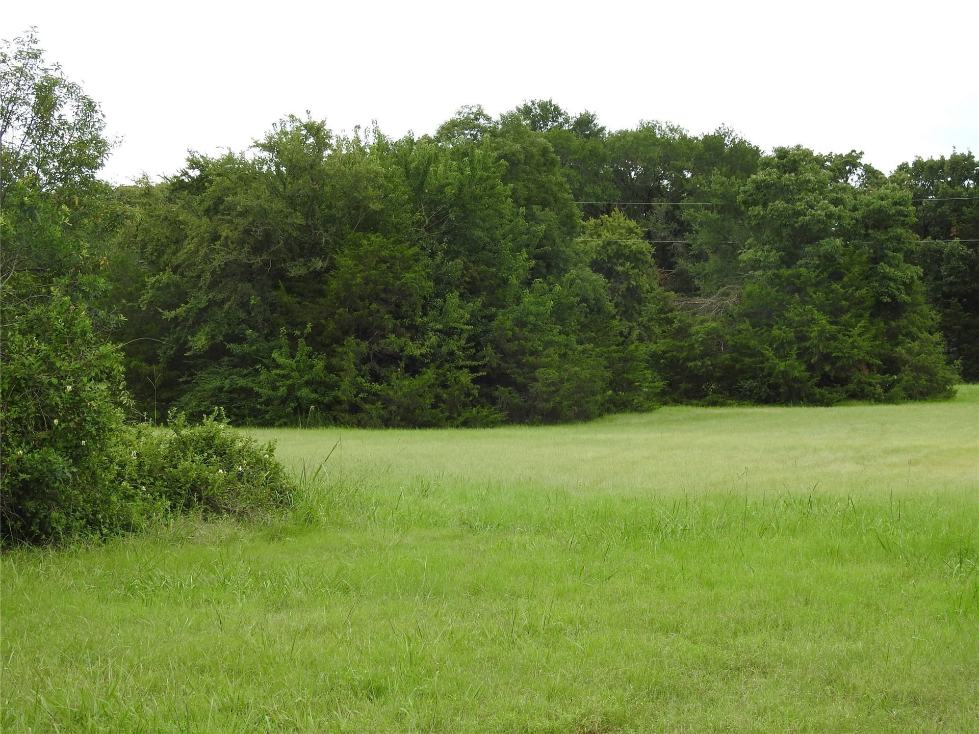 5.06 acres in Fannin County - photo 7