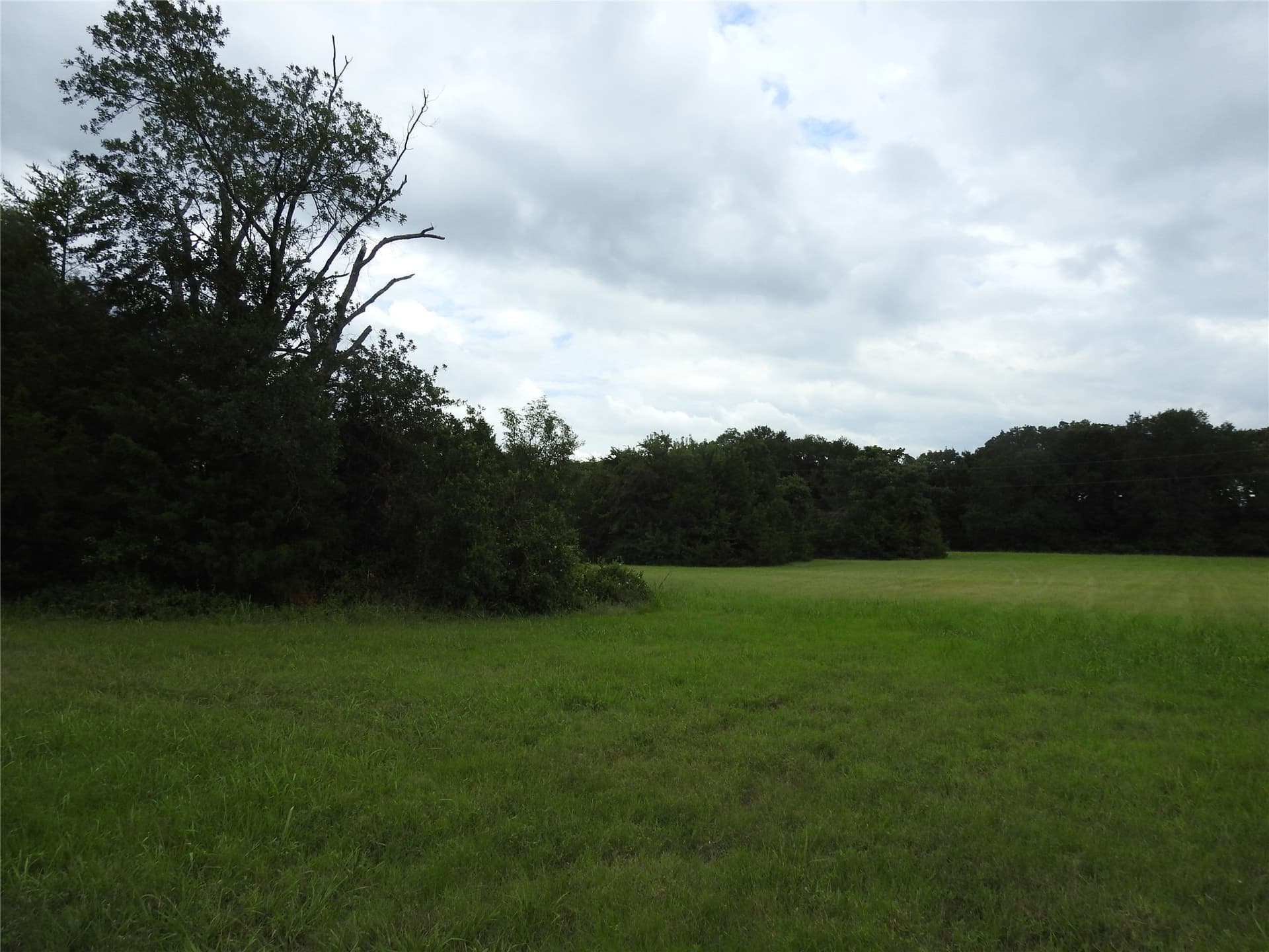 5.06 acres in Fannin County - photo 8