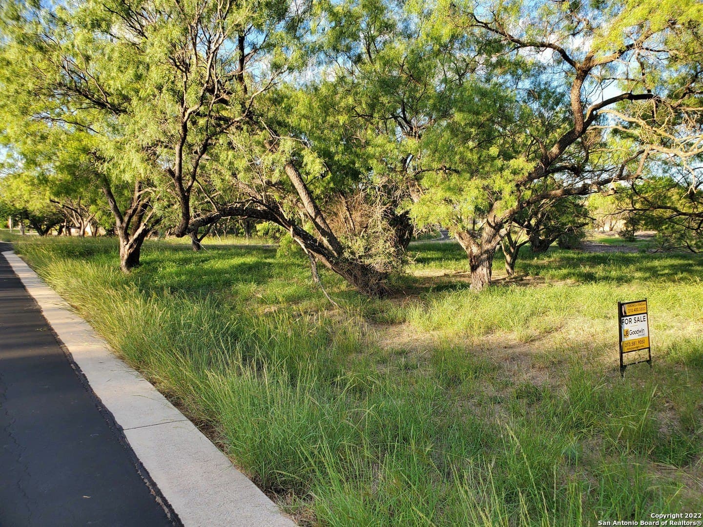 0.26 acres in Llano County gallery image 2