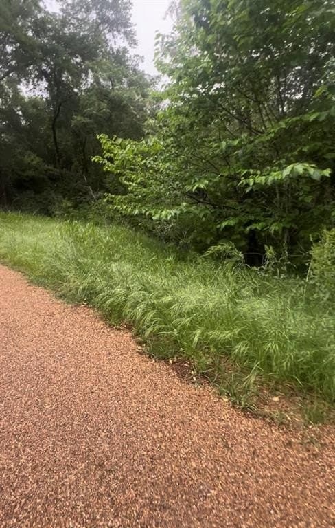 0.2 acres in Henderson County featured view