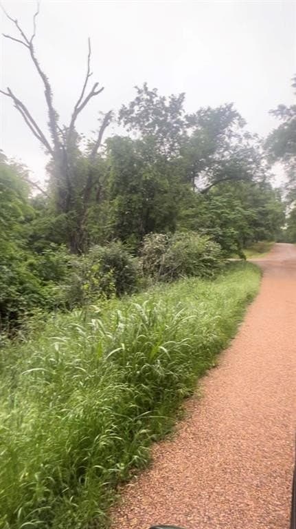 0.2 acres in Henderson County gallery image 3