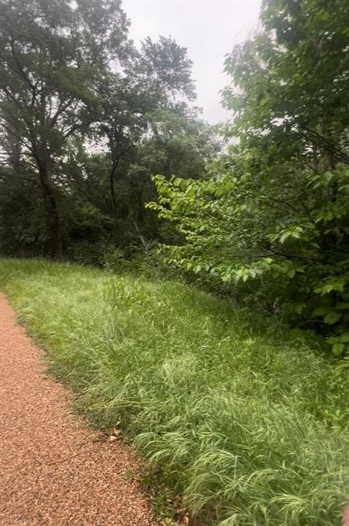 0.2 acres in Henderson County gallery image 4