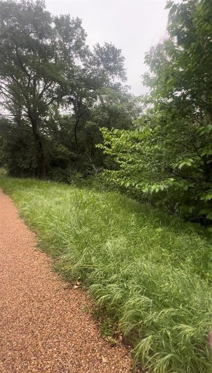 0.2 acres in Henderson County gallery image 2