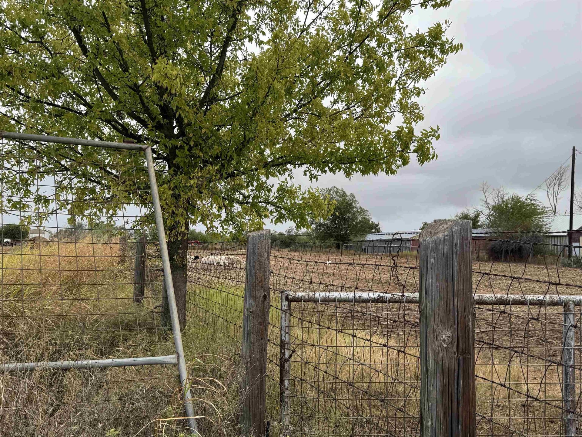 9.15 acres in Coleman County - photo 17