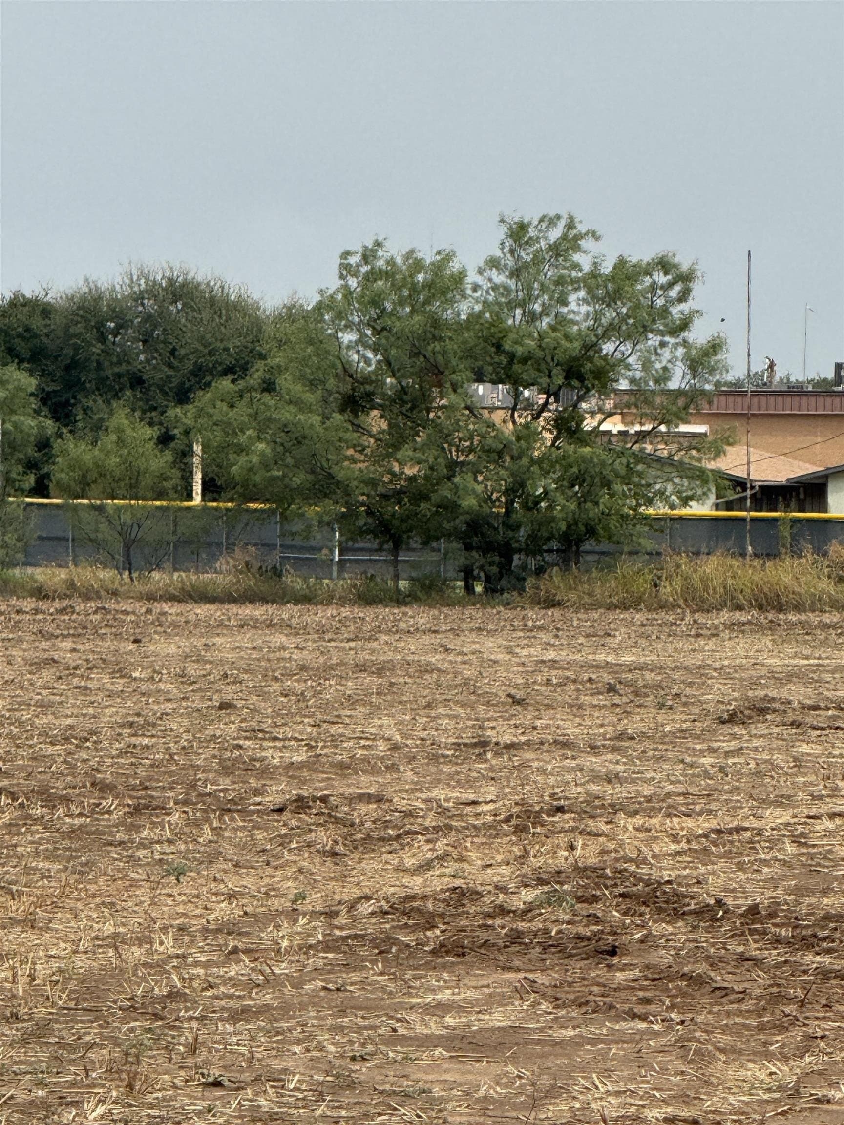 9.15 acres in Coleman County - photo 11