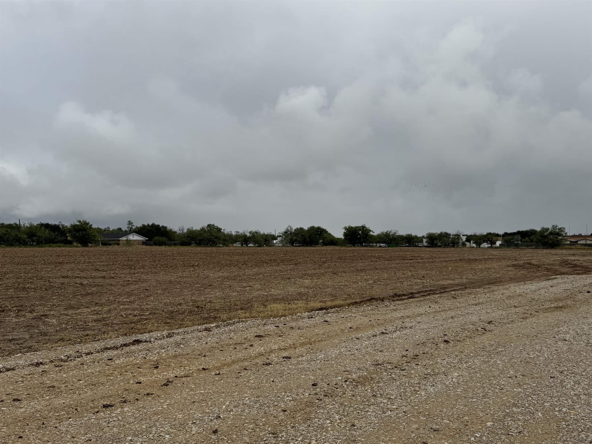 9.15 acres in Coleman County - photo 19