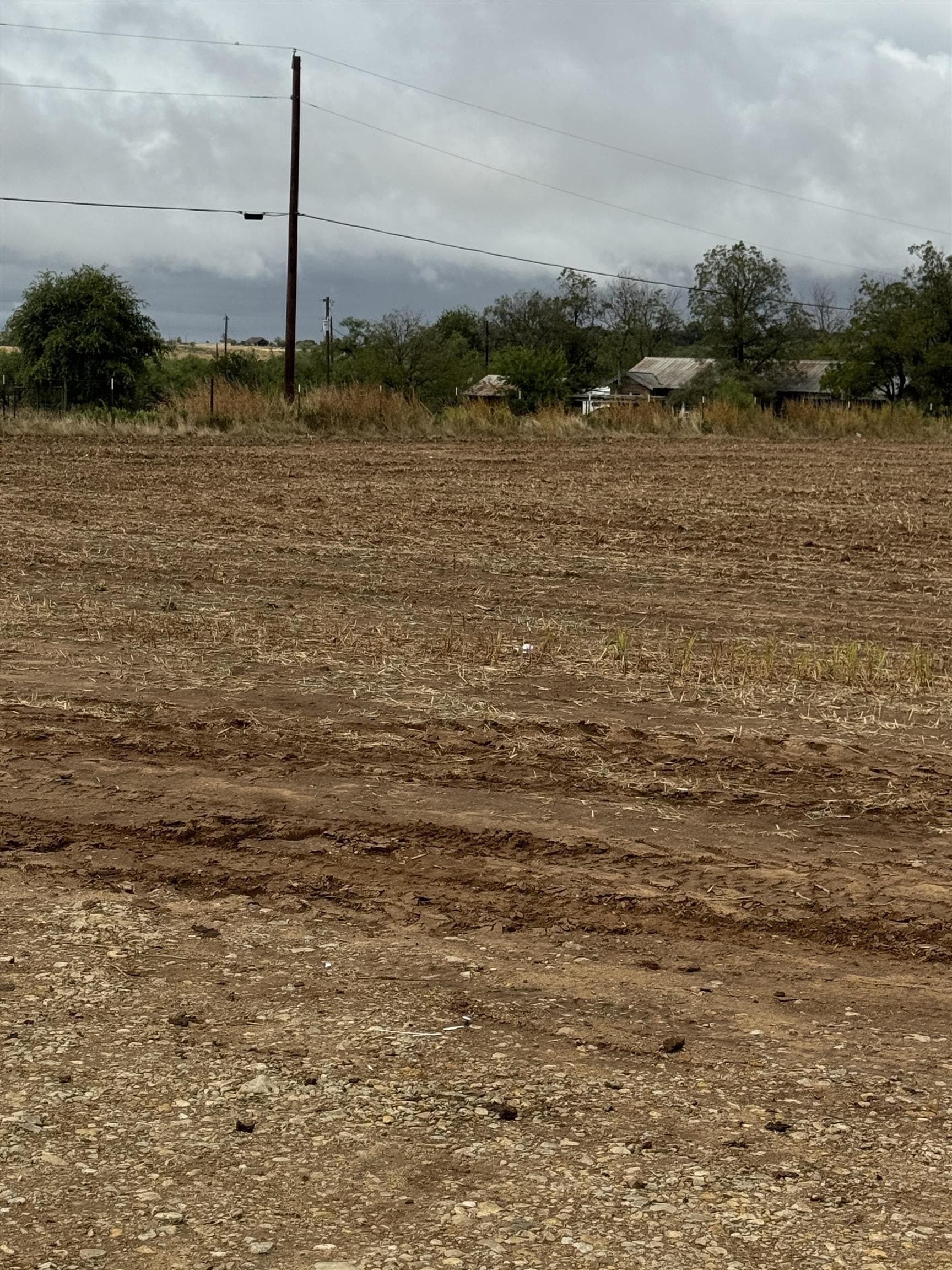 9.15 acres in Coleman County - photo 6