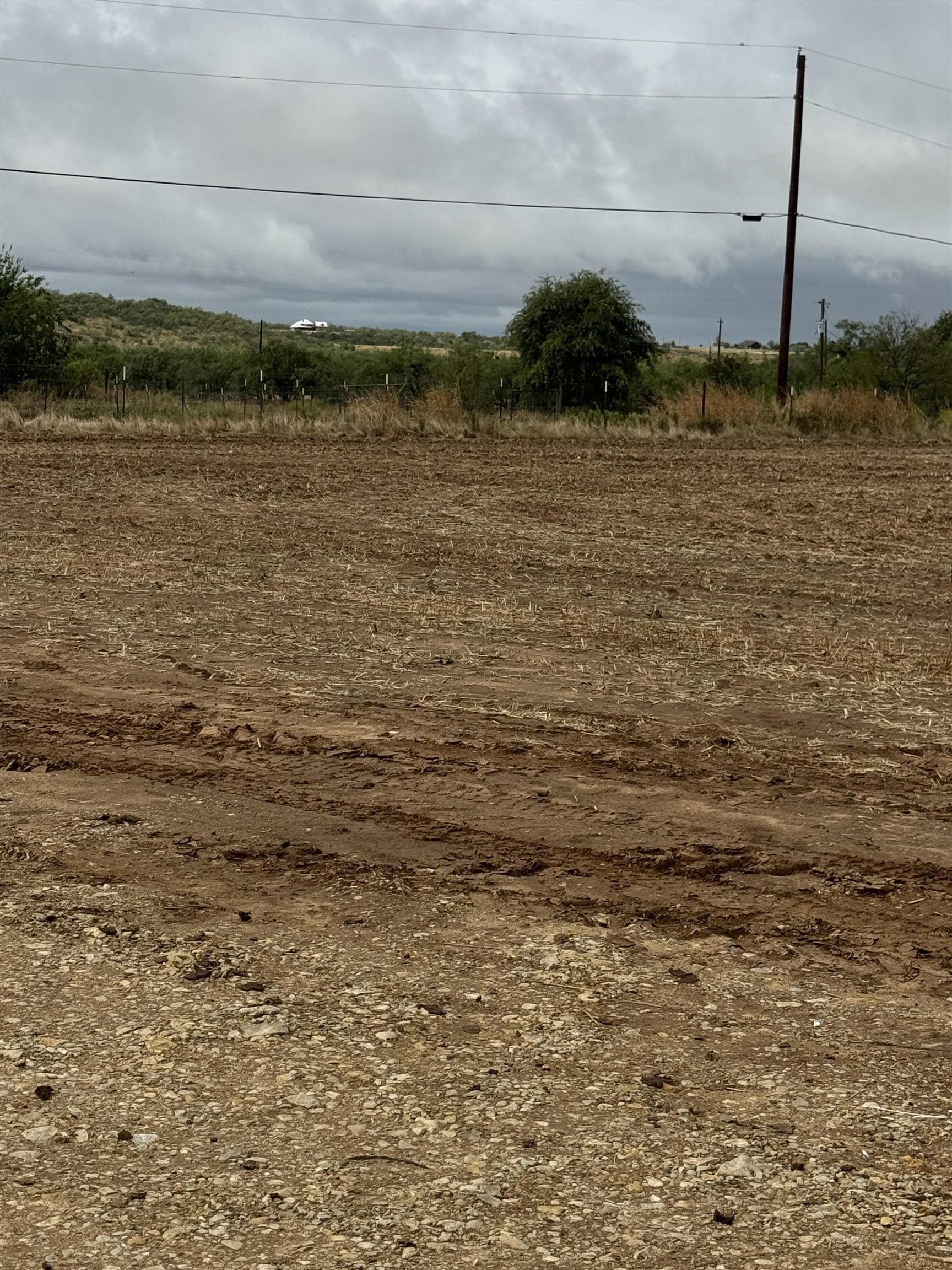 9.15 acres in Coleman County - photo 4