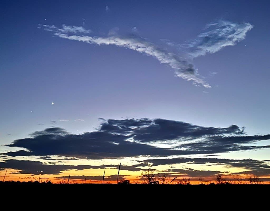 686 acres in Terrell County - photo 14