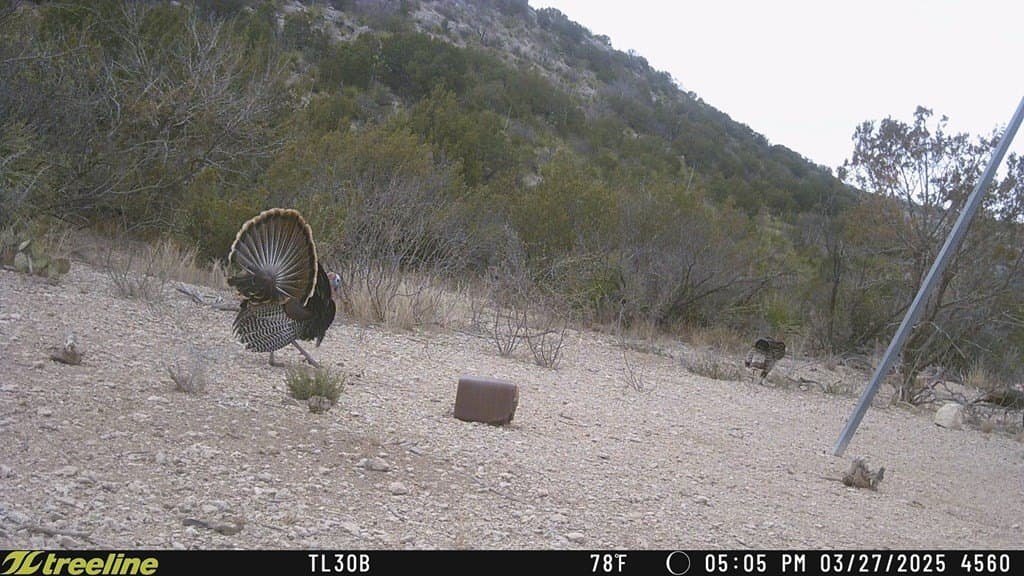 686 acres in Terrell County - photo 13